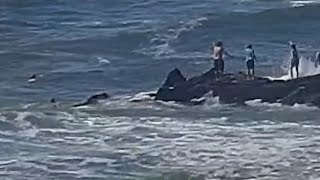 Video shows 9 people being rescued from the water in Ocean City NJ [upl. by Minsat568]