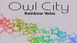 Rainbow Veins Owl City Karaoke [upl. by Germaine851]