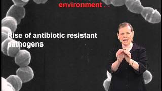 Lucy Shapiro Why antibiotics dont kill viruses [upl. by Doowrehs]