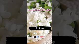 Duaaen Allah ko mana Lete Hain islamicprayer [upl. by Daffie187]