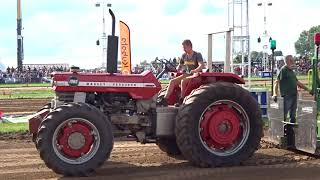 Massey Ferguson 1080 Trekkertrek Meeuwen [upl. by Enelime]