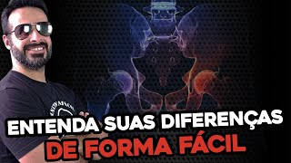 ASSOALHO PÃ‰LVICO E PERÃNEO ENTENDA SUAS DIFERENÃ‡AS DE FORMA FÃCIL [upl. by Nayk775]