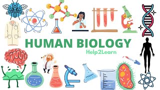 Human Biology Cofactors and Coenzymes [upl. by Lenneuq]