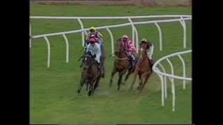 1993 Persian War Premier Novices Hurdle [upl. by Islean]