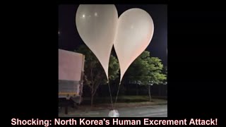 Shocking North Koreas Human Excrement Attack [upl. by Adiasteb757]