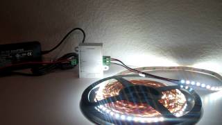 Tunable Dynamic White LED Strip Lights  Flexfire LEDs [upl. by Aikemet]