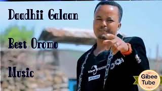 Daadhii Galaan Oromo Music Botti Jilba Jabaa Maaltu Jibba Best Music 2019 [upl. by Adiel]