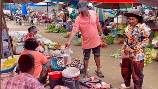 Fresh natural vegetable fish and meat market in Banteay Meanchey province of Cambodia food [upl. by Sundstrom]