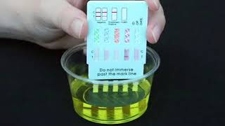 EasyHome Drug Test Dip Cards [upl. by Torto]