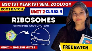 Ribosomes BSc 1st year 1st semester unit 2 in Hindi amp English🔥💯 [upl. by Ahsap]