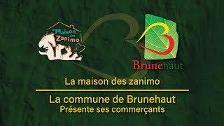 Présentation de la Maison des Zanimo  Commerces et services de Brunehaut [upl. by Anyale894]