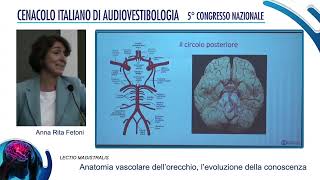 Anatomia vascolare dellorecchio evoluzione delle conoscenze [upl. by Eissirc]