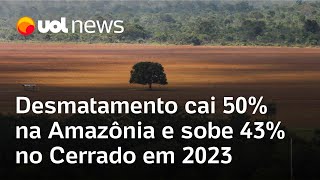 Desmatamento cai pela metade na Amazônia e sobe 43 no Cerrado em 2023 [upl. by Elbon]