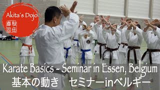 1 Karate Basics  Shotokan Seminar in Essen SKAI Belgium【Akitas Karate Video】 [upl. by Ddahc]