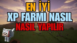 Xp Kasmak İçin En iyi Farm  SilverFish Farmı   Minecraft Türkiye [upl. by Countess]