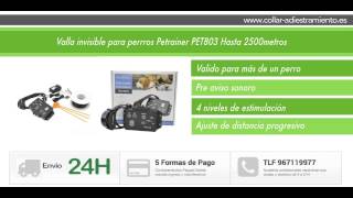 Valla invisible para perros Petrainer PET803 hasta 2500 metros [upl. by Latreese]