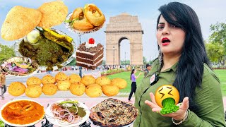 Living on FAMOUS Food for 24 Hours Challenge  Delhi Food Challenge [upl. by Irabaj]