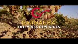 Garnacha the quintessential Mediterranean wine grape [upl. by Euqinad]