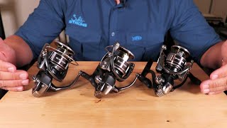 Daiwa BG MQ Inshore Fishing Reels 2500 vs 3000 vs 4000 Whats The Difference [upl. by Revart]