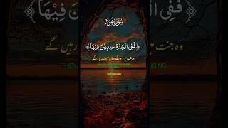 SurahAlHood with urdu Translation quran quranrecitation quranicverses shortsfeed ytshorts [upl. by Casilde287]