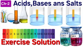 Ch2 I Exercise of Acid Bases and Salts I class 10 ncert science [upl. by Scherman962]