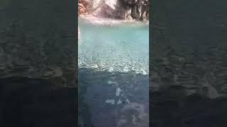 🌊Guhantara resort water falls Bangaloreresort waterfall water shorts bangalore holiday happy [upl. by Hemminger]