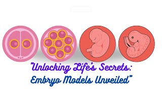 quotUnlocking Lifes Secrets Embryo Models Unveiledquot [upl. by Yerfoeg]