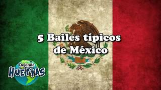 5 BAILES TÍPICOS DE MÉXICO  DEJANDO HUELLAS [upl. by Lled]