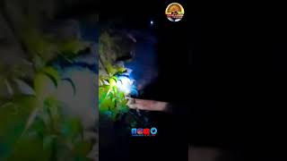 হাতি মুড়ি আসরে পৌঁছে গেল। বানেশ্বর মাহাতোর কাড়া।puruliakaralarai hathimurikaralarai2024 [upl. by Navarro83]