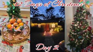 12 Days of Christmas Day 2 Christmas Decorating With My Family [upl. by Anelrahc]