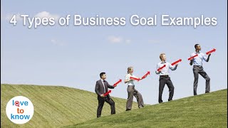 4 Examples Of Business Goals [upl. by Pavior]