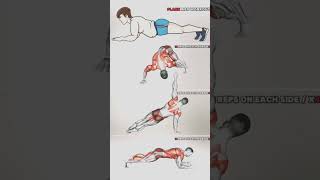 Plank Abs Workout  Oblique Workout absworkout abschallenge [upl. by Jaffe]