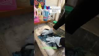 Carisma y ropa oscura asmrcleaning jabonpotente cleaningsounds jabonliquido laundry jabon [upl. by Littlejohn]