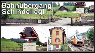 Kleiner Bahnübergang beim Bahnhof Schindellegi Kanton Schwyz Schweiz 2019 [upl. by Annairdua]