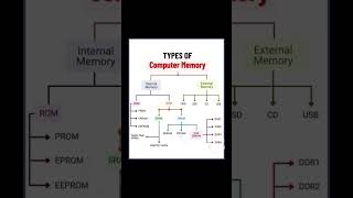 Types of Computer Memory facts free tech fyp fypシ゚viral views [upl. by Ahsilyt992]