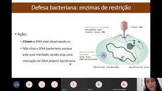 Enzimas de restrição [upl. by Sibell59]