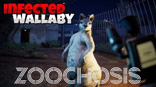 ZOOCHOSIS  INTERVIEW AND SICK WALLABY  EPISODE 1 [upl. by Ahsas401]