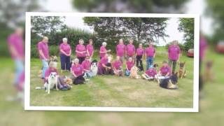 Wensum Dog Training Club Display Team  9th July 2017 [upl. by Naujej37]