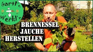 Brennesseljauche selbermachen ganz einfach und unkompliziert [upl. by Dermott327]