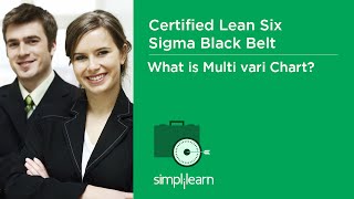 What is Multi Vari Chart  Lean Six Sigma Black Belt Online Training  Six Sigma Tutorials [upl. by Basilio]