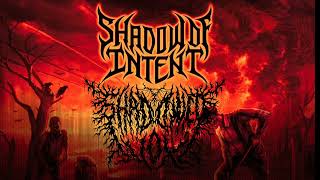 Shadow of intentLife of exile vocal cover vocalcover deathmetal [upl. by Khai]