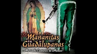 Mariachi Cantares de Mexico  Apariciones Guadalupanas [upl. by Milore]