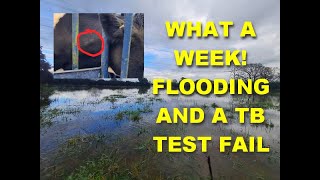 WHAT A WEEK  FLOODS AND TB TEST FAIL [upl. by Nolubez225]