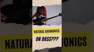 Natural Harmonics on bass basstips [upl. by Ellita]