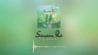 Sanam Re Jayhaan amp DJMattz Remix  New Amapiano Remix [upl. by Kiele]