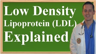 Low Density Lipoprotein LDL Explained [upl. by Onibag]