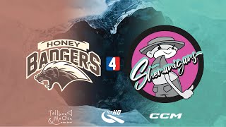 Honey Badgers VS Shenanigans Div 4  24th July  IceHQ Beer League ice hockey [upl. by Larrisa181]