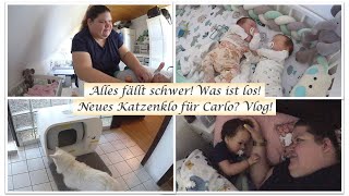 Alles fällt schwer Luca kuschelt Furbulous Box  Reborn Baby Deutsch  Little Reborn Nursery [upl. by Bron213]