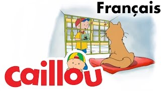 Caillou FRANÇAIS  Où est Gilbert S04E01  conte pour enfant  Caillou en Français [upl. by Annitsirhc]