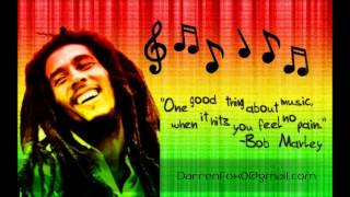 Soja Style Reggae Instrumental March 2014 [upl. by Maxma730]